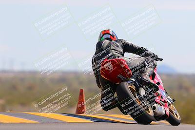 media/Oct-09-2022-SoCal Trackdays (Sun) [[95640aeeb6]]/Turn 9 Backside (120pm)/